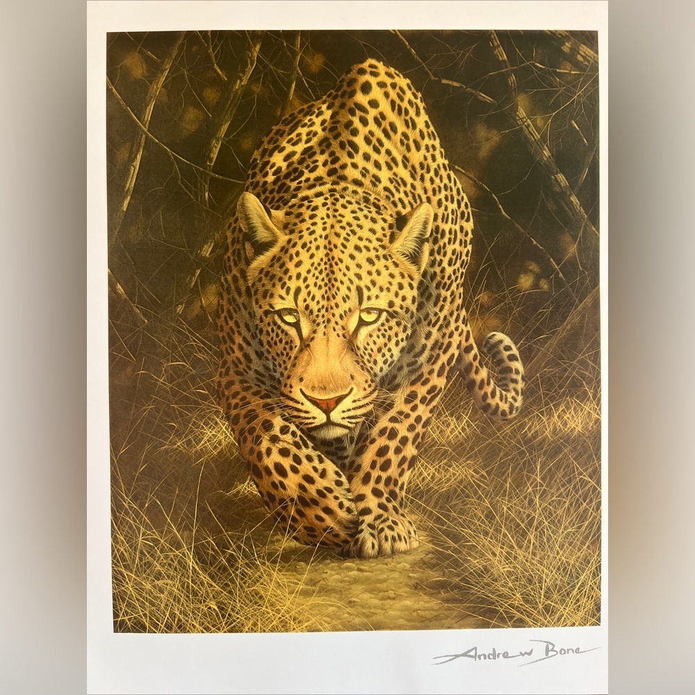 NEW Andrew Bone African Mystique Seriolithograph Art